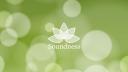 Soundness logo